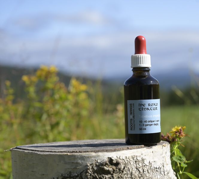 Hovedbilde Ipe Roxo (Pau d’Arco) tinctur 50 ml