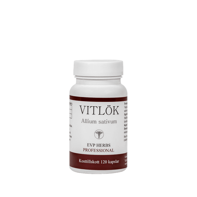 Hovedbilde Hvitløk Allium Sativum