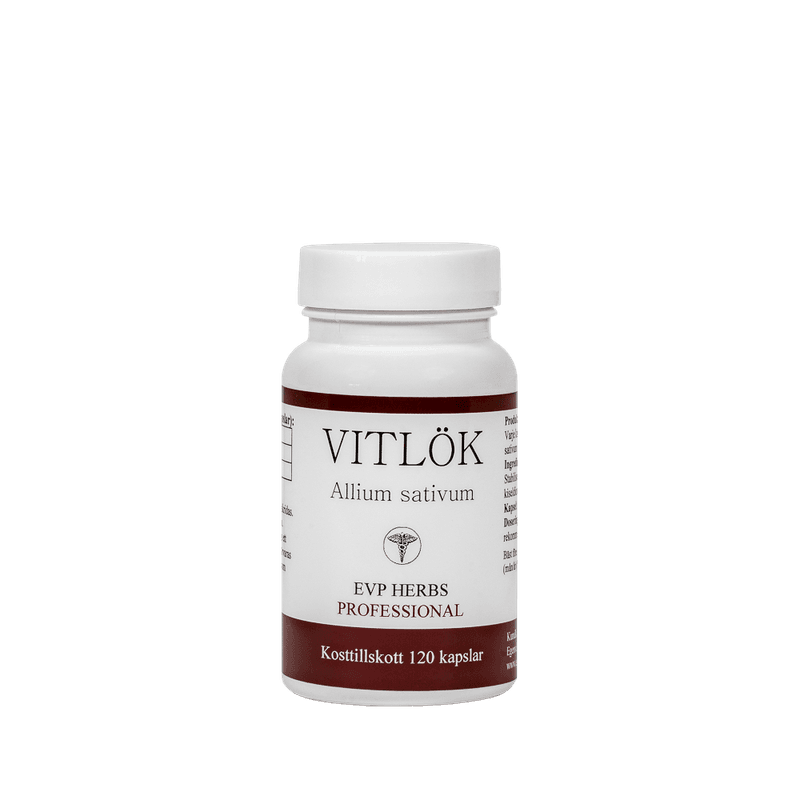 Hvitløk Allium Sativum