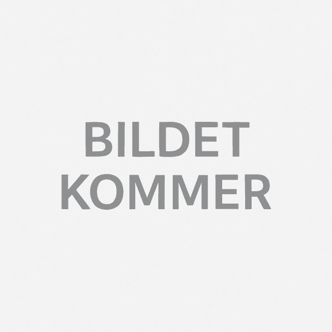 Hovedbilde Løvetann/ maskros